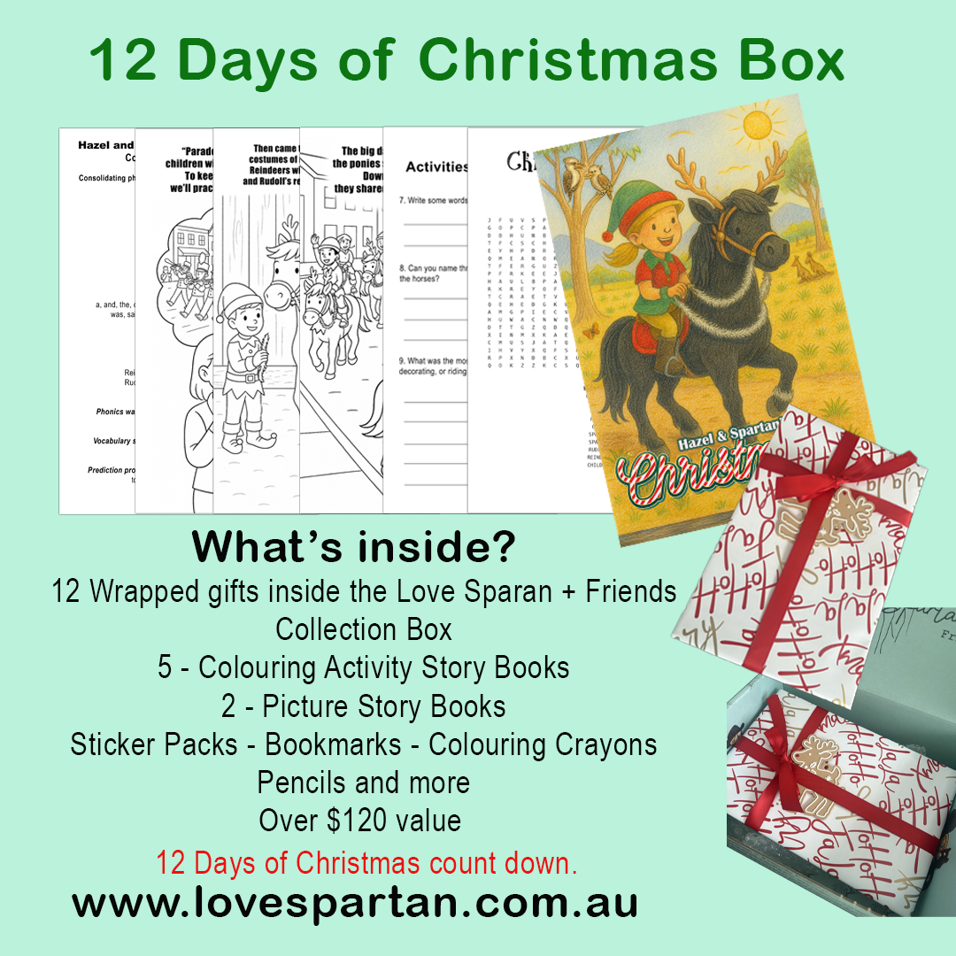 12 Days of Christmas Box - Limited