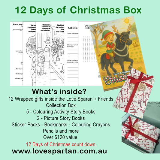 12 Days of Christmas Box - Limited